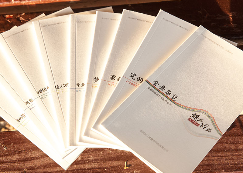 诸暨供电公司“枫桥经验”系列丛书画册设计