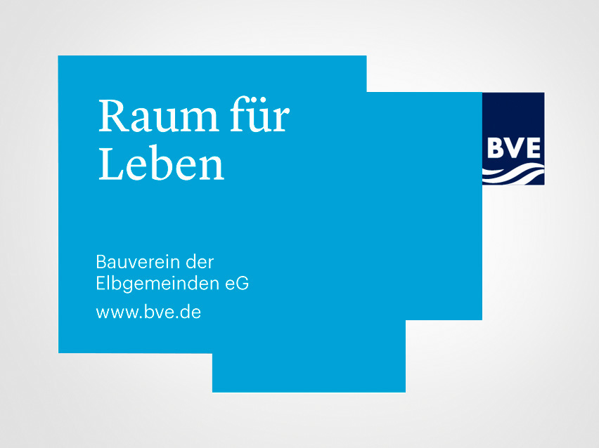 BVE品牌视觉设计