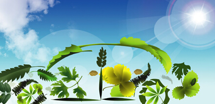 企业品牌设计有奇招