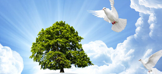 品牌设计公司在社会上有什么用途？