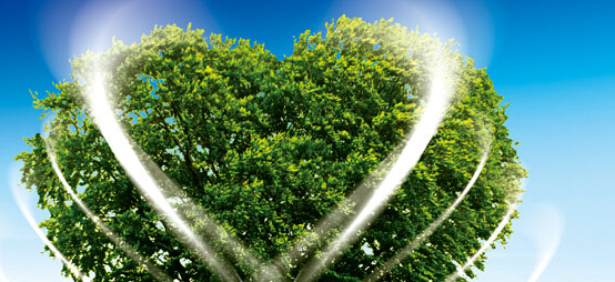 杭州设计公司如何打动消费者