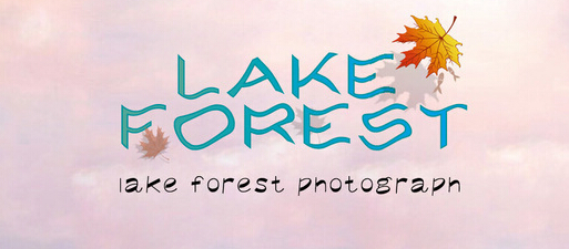 品牌设计公司的品牌整体打造