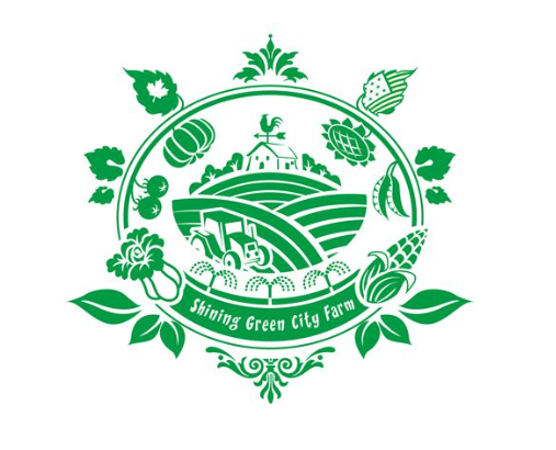 公司logo设计价格是否能够让人接收