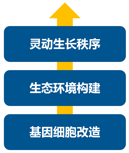消费升级大时代，品牌如何进行战略升级？