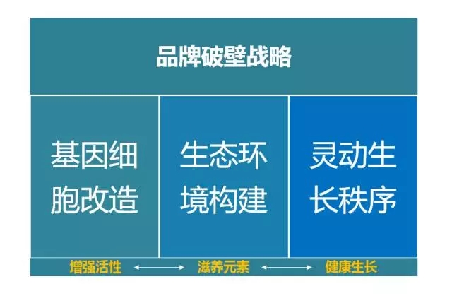 品牌升级必看的四大策略!