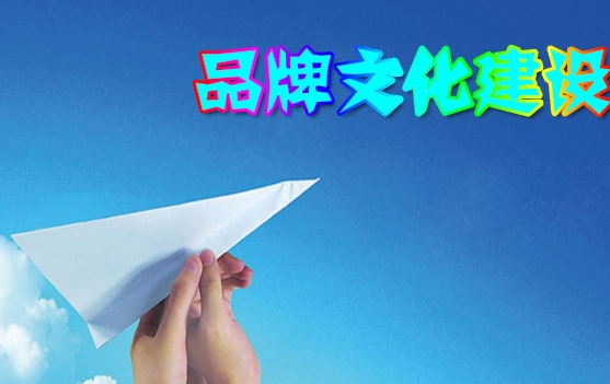 品牌规划战略可以找规划公司做吗