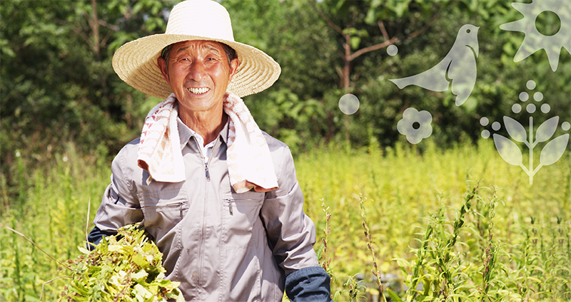 品牌形象vi设计公司是怎么进行食品品牌形象设计的？