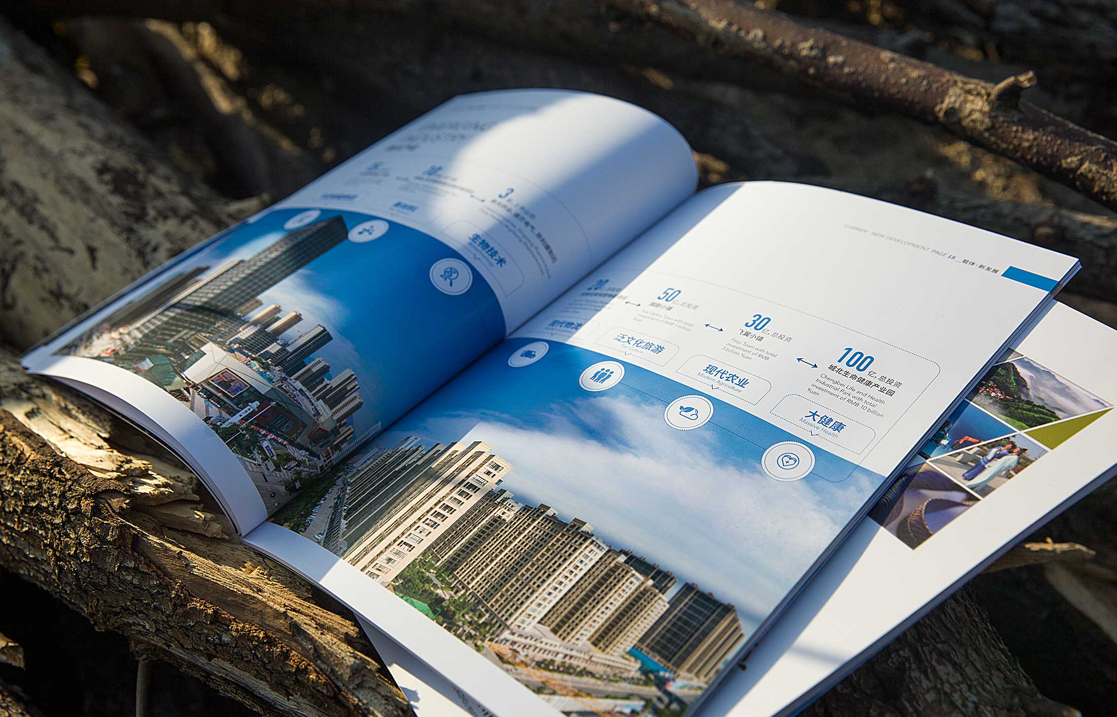 怎么判断画册设计的好坏