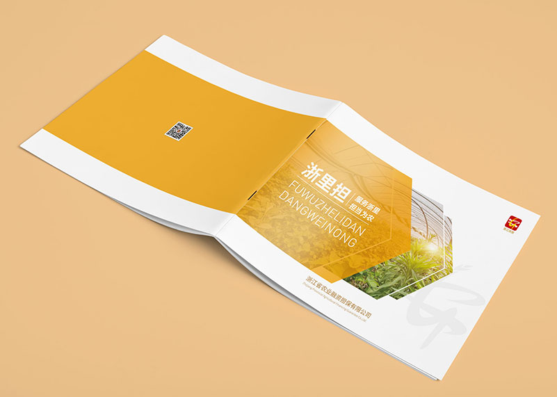 创新画册设计的理念改怎样去做