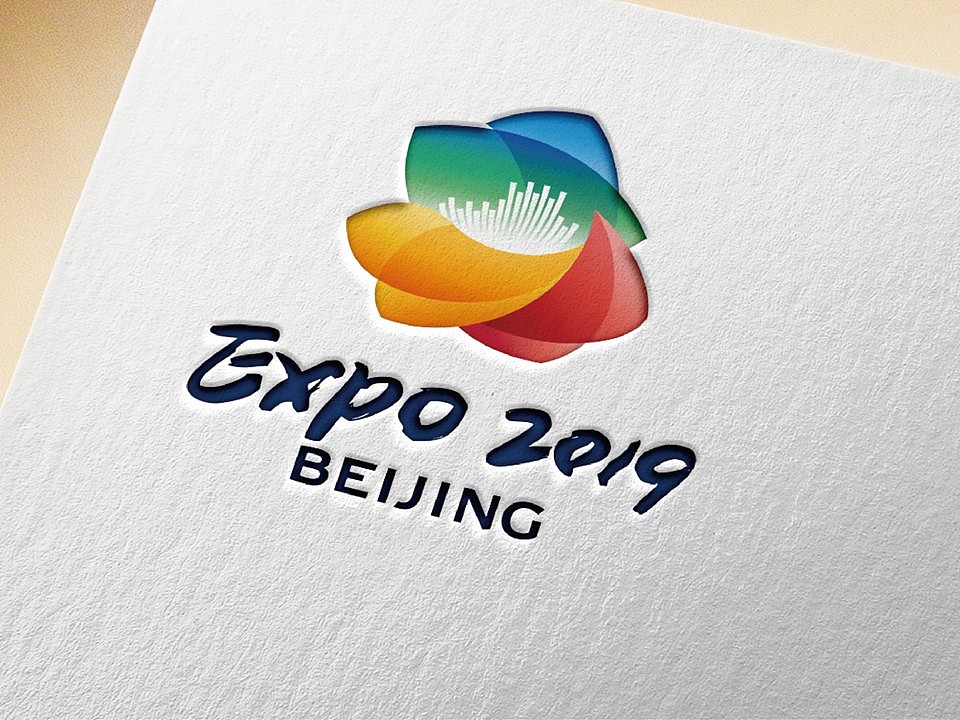 网络营销,虚拟营销