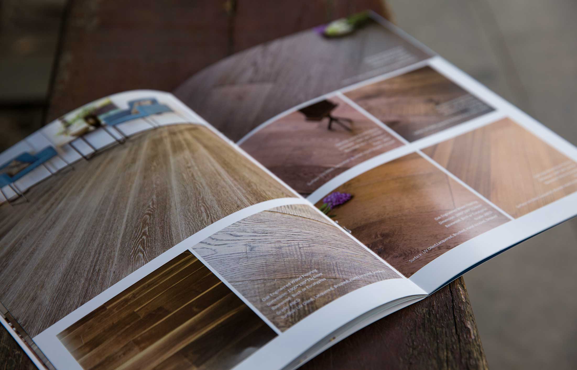 公司宣传册样本设计编辑什么内容合适?