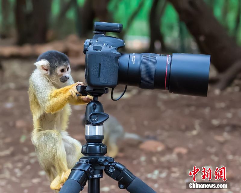 宣传片拍摄时突出主体?