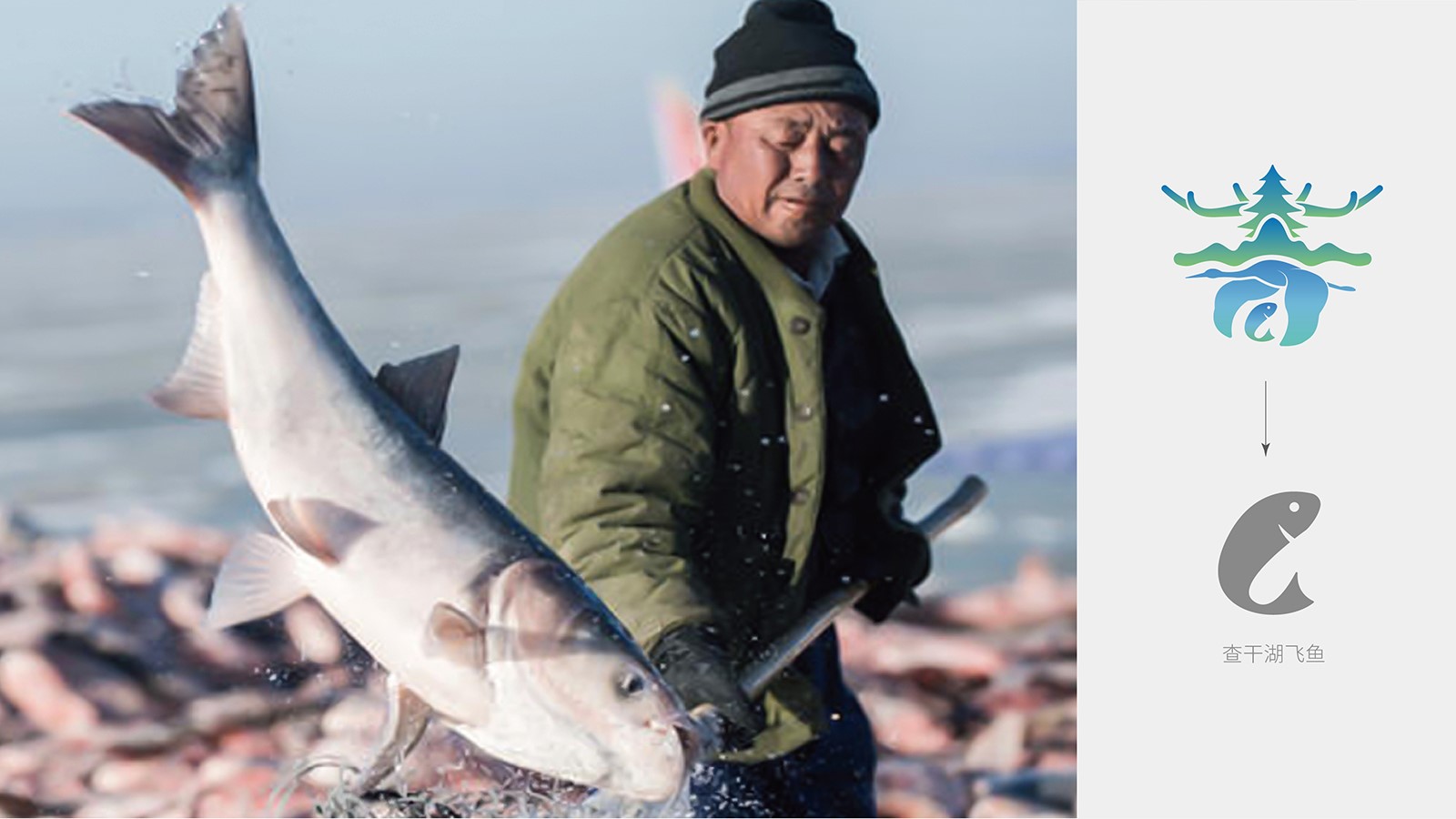 vi设计杭州有多少家设计公司?