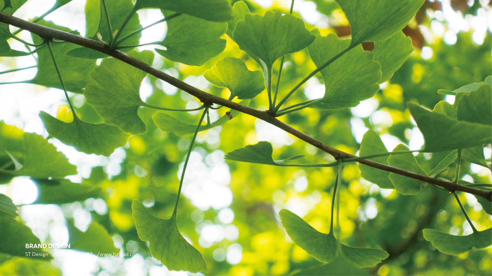 vi设计一套收费标准怎么看？