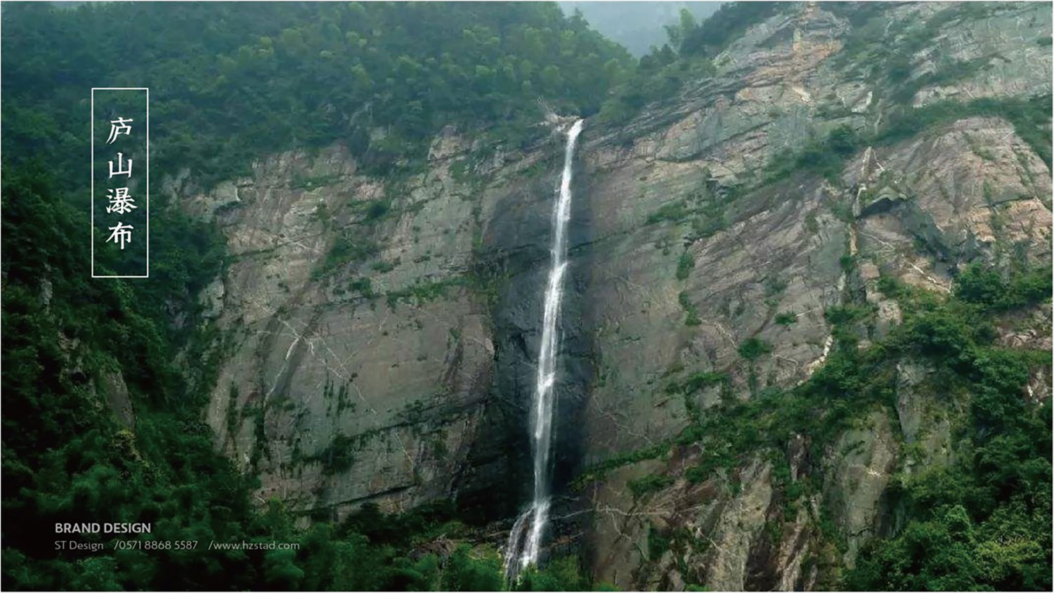 全案品牌策划成为助力