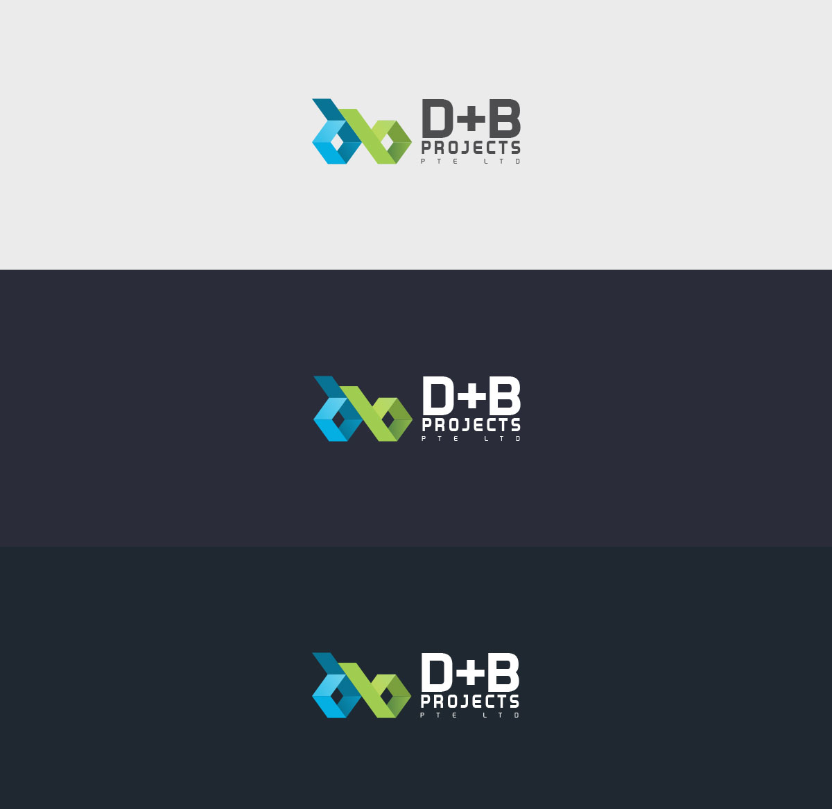 新加坡B+D建筑项目品牌设计