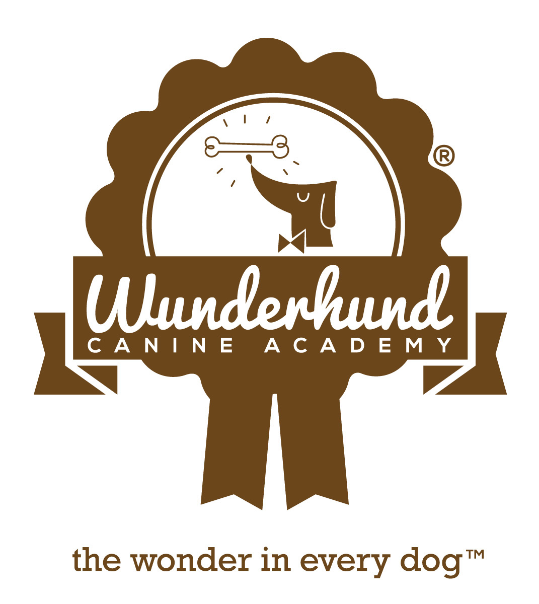 Wunderhund犬学会直邮活动VI设计