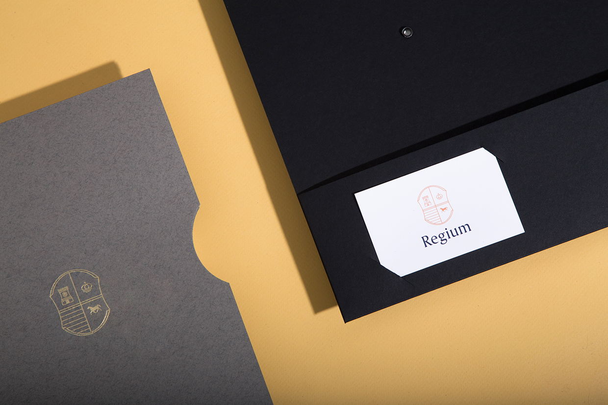 Regium房地产咨询公司品牌视觉设计