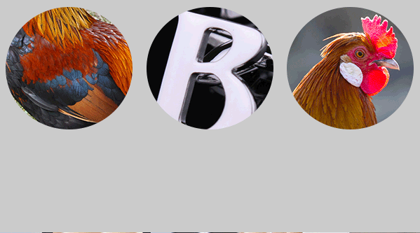 Bitreserve基金会品牌设计