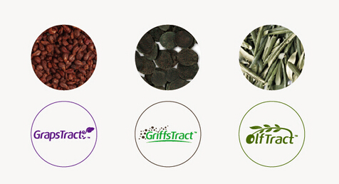 企业VI设计公司